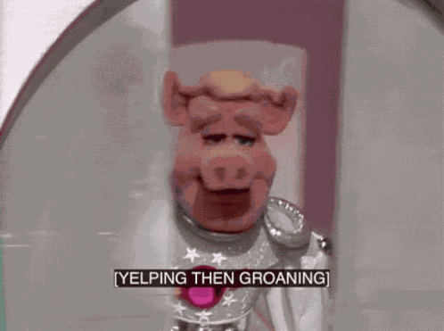 Muppets Muppet Show GIF