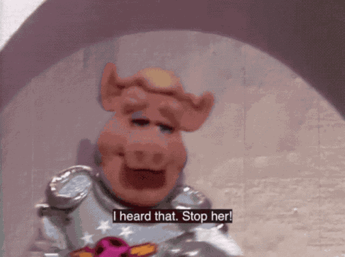 Muppets Muppet Show GIF
