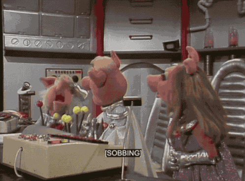 Muppets Muppet Show GIF