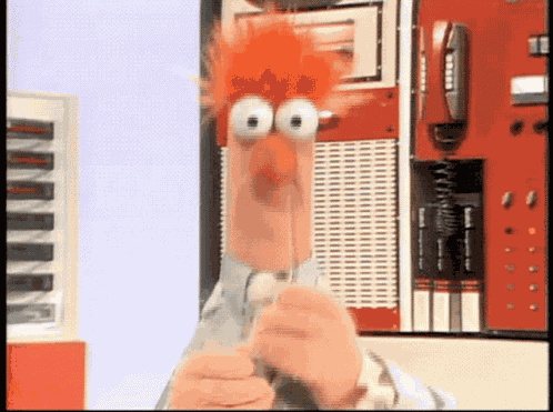 Muppets Muppet Show GIF