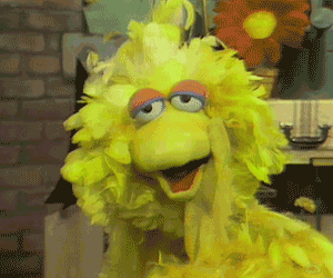 Muppetwiki Muppet Wiki GIF