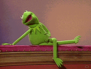 Muppetwiki Muppet Wiki GIF