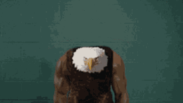 Murica Merica GIF