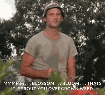 Murray Washing GIF