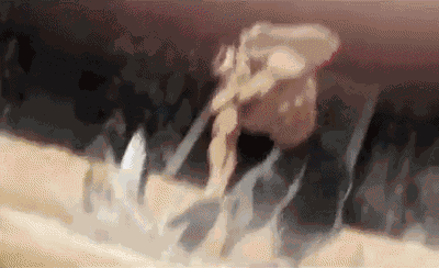 Musashi Retsu GIF