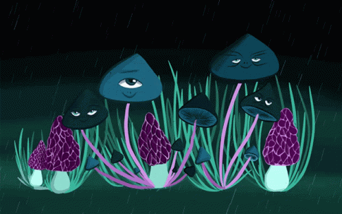 Mushrooms Happy Mushrooms GIF