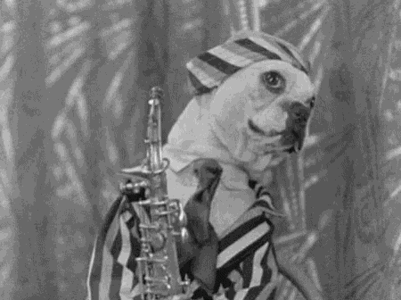 Music Puppy GIF