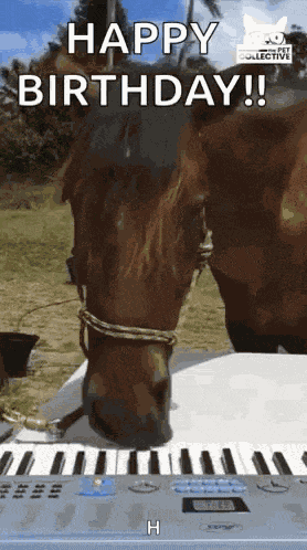 Musical Animals Piano GIF