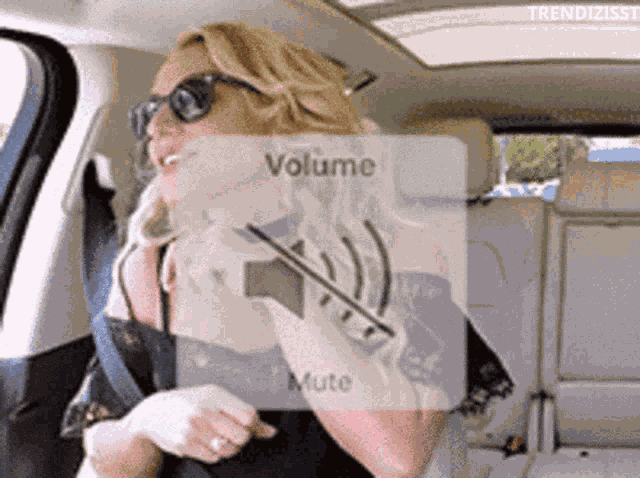 Mute Britney Spears GIF