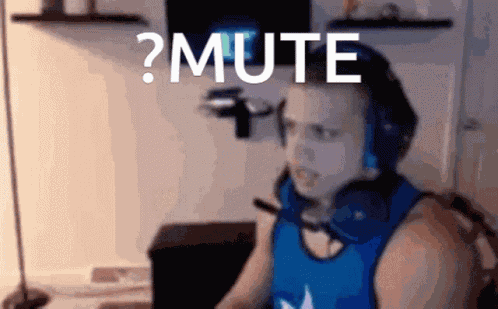 Mute Discord GIF