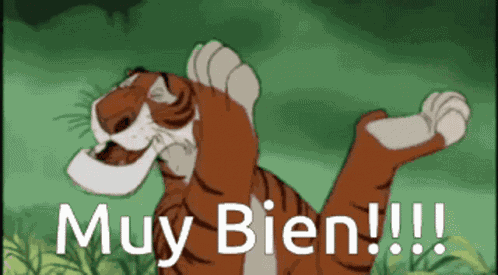 Muy Bien Meme Tigre Aplauso GIF