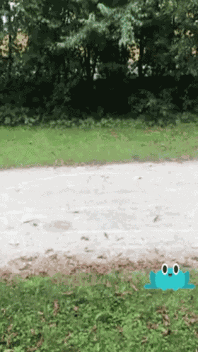 Mvg Mvg Rad GIF