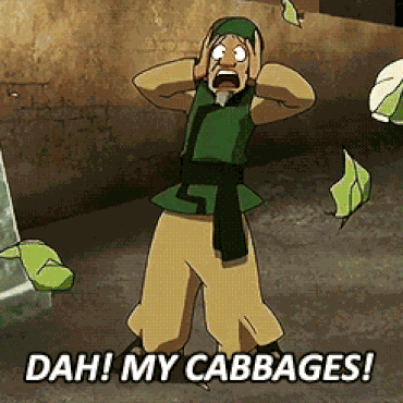 My Cabbages Avatar The Last Airbender GIF