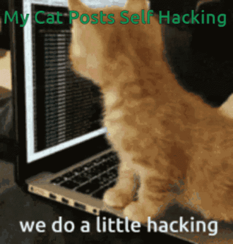 My Cat Was Hacking GIF