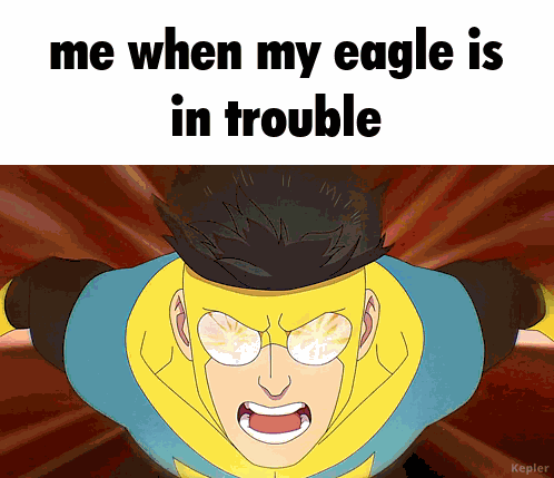 My Eagle Inv GIF