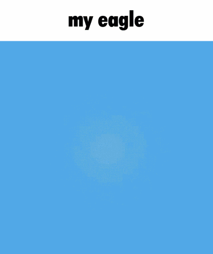 My Eagle Invincible GIF