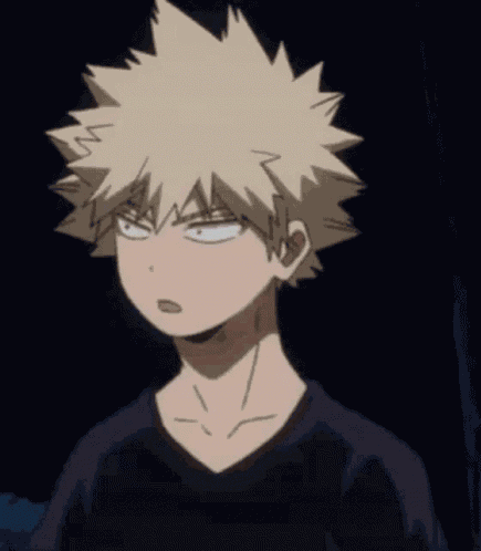 My Hero Academia Boku No Hero Academia GIF