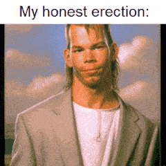 My Honest Erection My Honest Reaction GIF