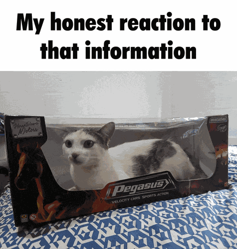 My Honest Reaction Bruh Meme