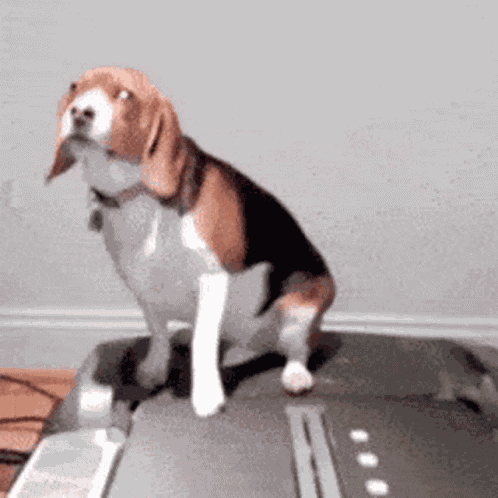 My Myworkout GIF