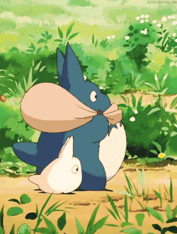 My Neighbour Totoro GIF