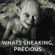 My Precious Lord Of The Rings GIF