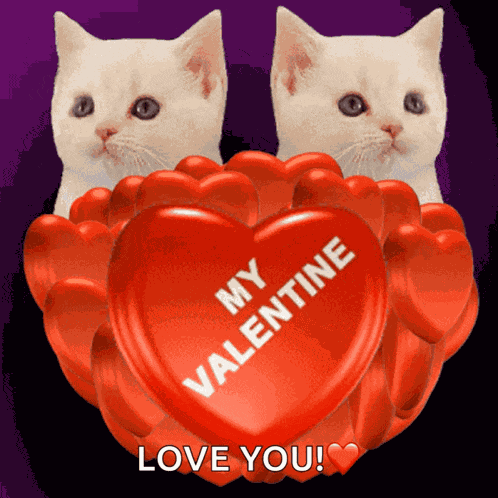 My Valentine Be My Valentine GIF