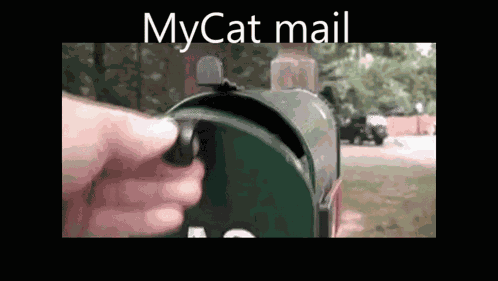 Mycat Mail Mycat Fanfic GIF