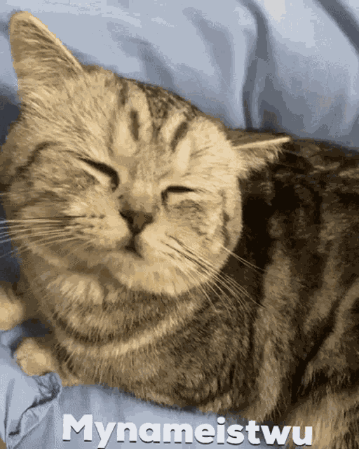 Mynameistwu I Love You GIF