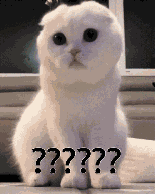 N GIF