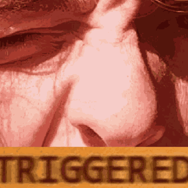 Naarstig Triggered GIF