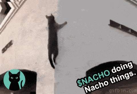 Nacho Nacho Nacho GIF