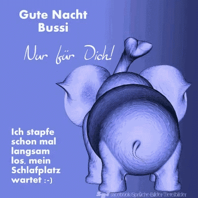 Nachti GIF