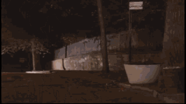 Naked Brothers Band Polar Bear Eventually GIF