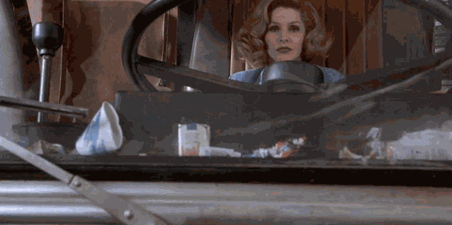 Naked Gun Truck Driver GIF