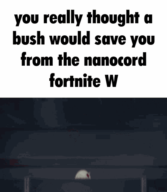 Nano Fortnite GIF