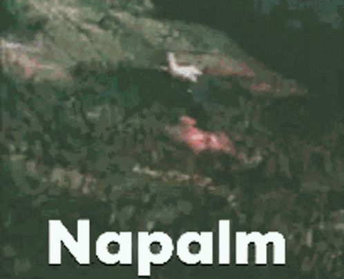 Napalm Forest Fire GIF