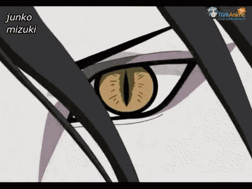 Naruto Nine Tail Fox GIF