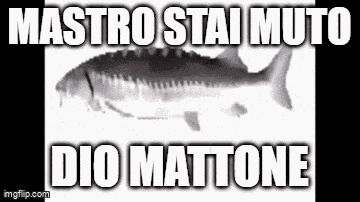 Nastrobarese GIF