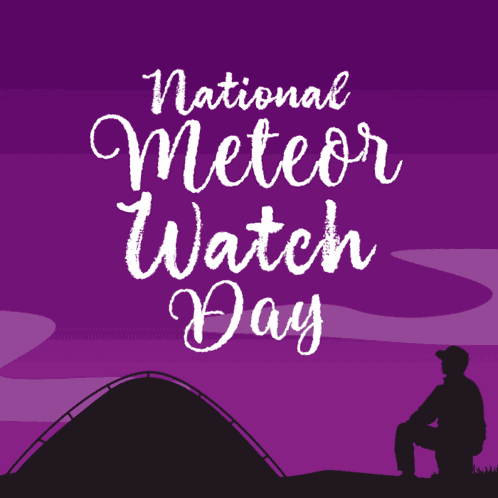 National Meteor Watch Day Night Of The Shooting Stars GIF