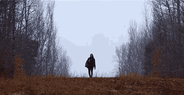 Nature Avi Kaplan GIF