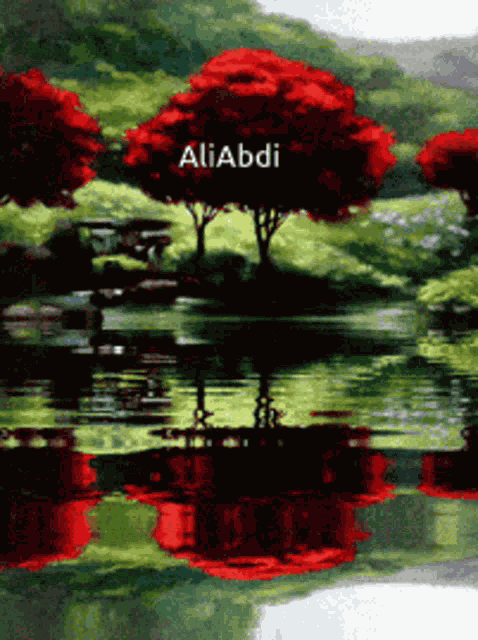 Nature GIF