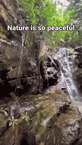 Nature Is So Peaceful Meme GIF