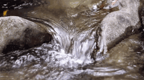 Nature Water GIF