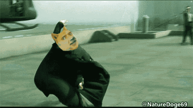 Naturedoge69 Slickric GIF