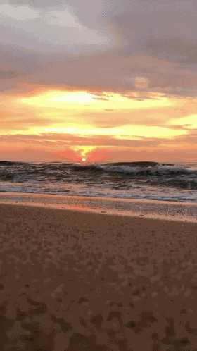 Near Nature рядомсприродой GIF