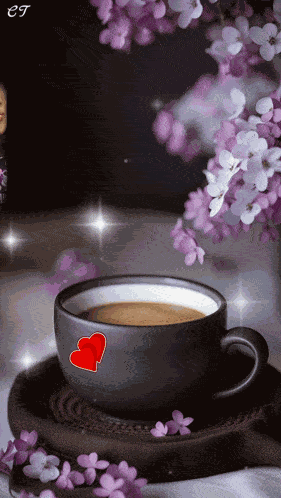 Neata Turbomix Nneata1 GIF