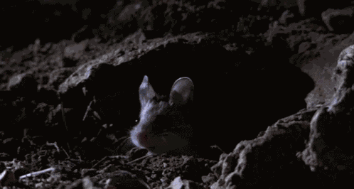 Necromouse Necromancer GIF