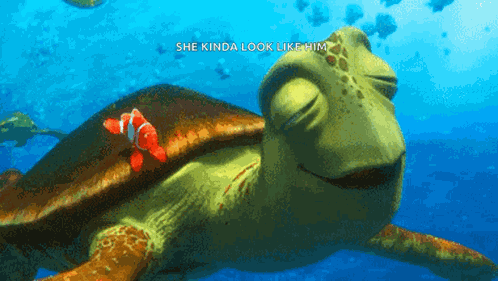 Nemo Turtle GIF