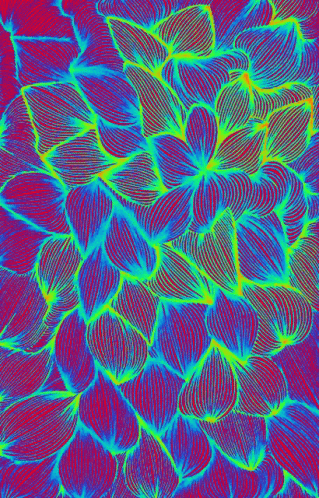 Neon Trees GIF